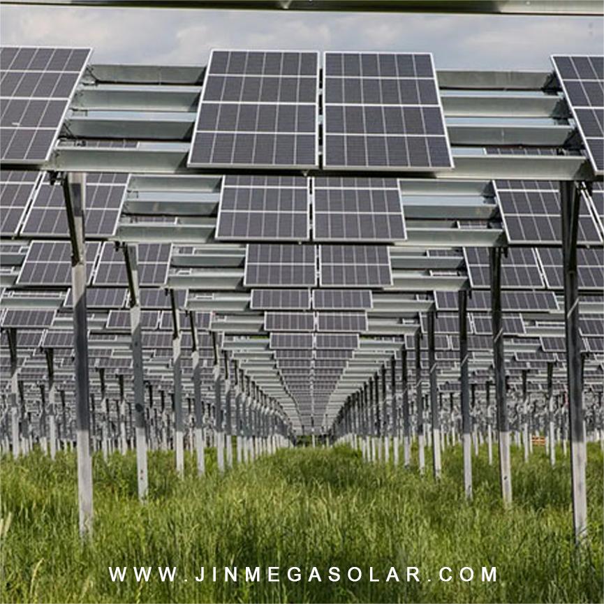 Produkt-Spotlight | JinMega Landwirtschaftliches Ackerland-Solarmontagesystem I