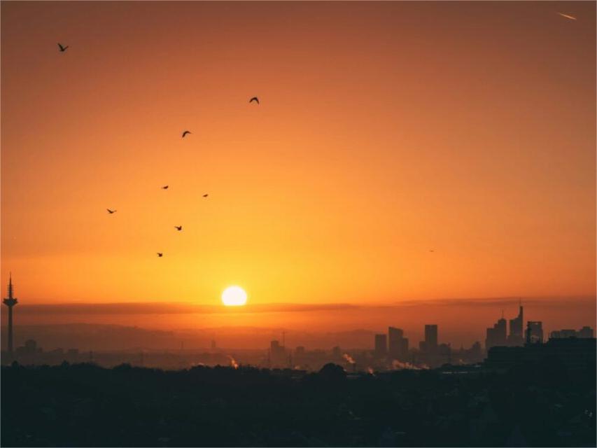 Deutschland installiert im ersten Halbjahr 2025 7,1 GW neue Solarkapazität